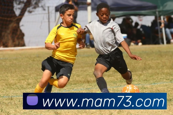 平台展示图